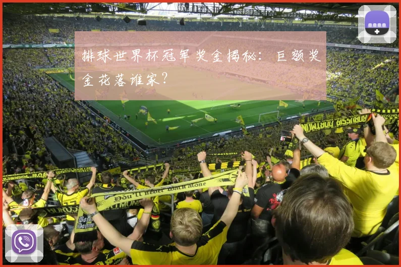 排球世界杯冠军奖金揭秘：巨额奖金花落谁家？