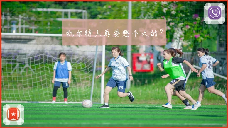 凯尔特人真要憋个大的?